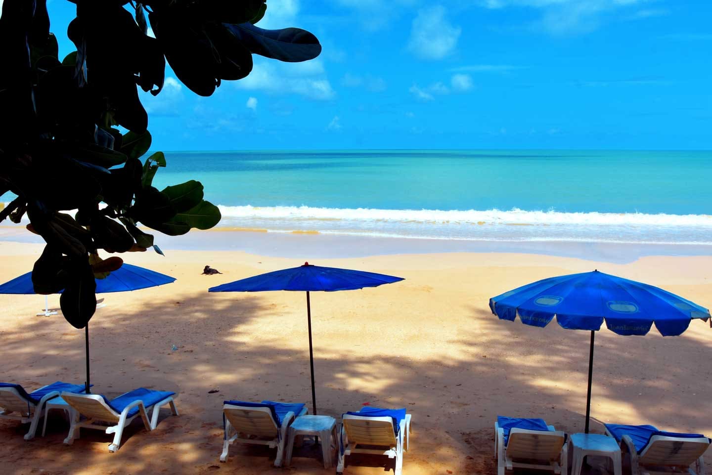 Blue umbrellas and loungers at Ao Thong Beach
